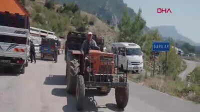Mezitli Belediyesi, üreticilerin hasat ettiği