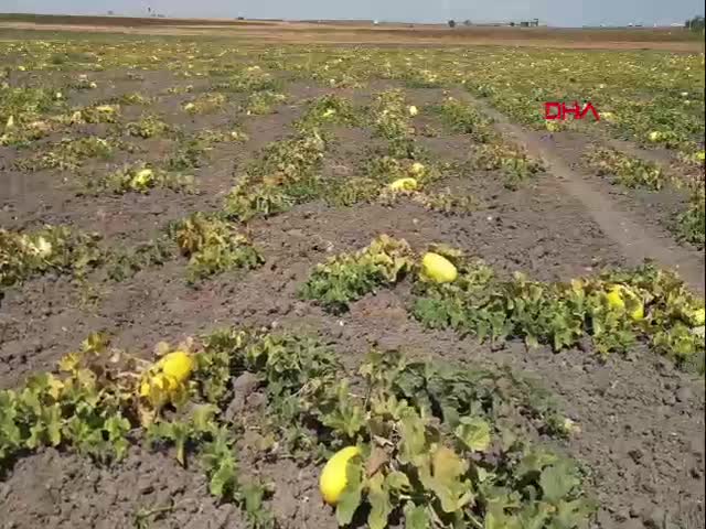 Tekirdağ'ın Çorlu ilçesinde coğrafi