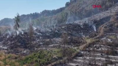 Antalya'nın Aksu ilçesinde çıkan ve