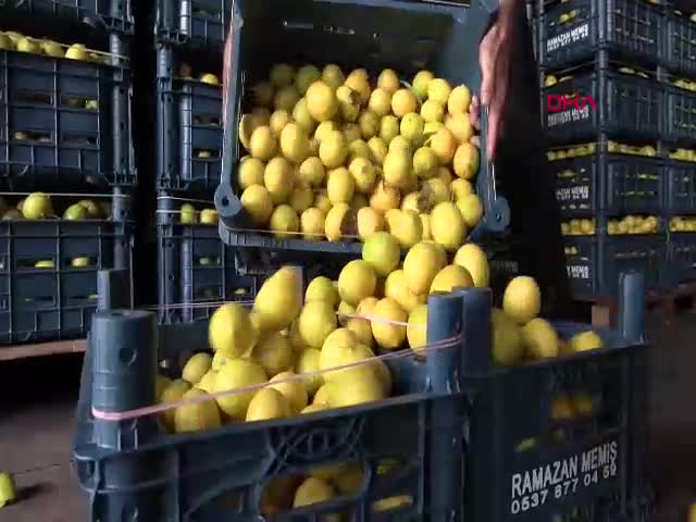 Adana Kabzımallar Odası Başkanı