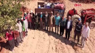 Gaziantep'te 'yeşil altın' Antep fıstığı