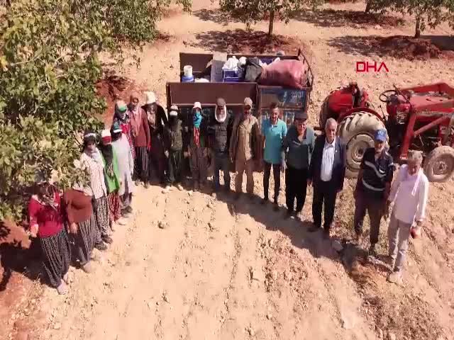 Gaziantep'te 'yeşil altın' Antep