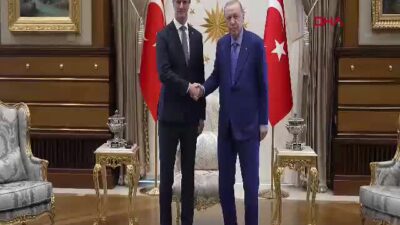 Cumhurbaşkanı Recep Tayyip Erdoğan, Almanya'nın