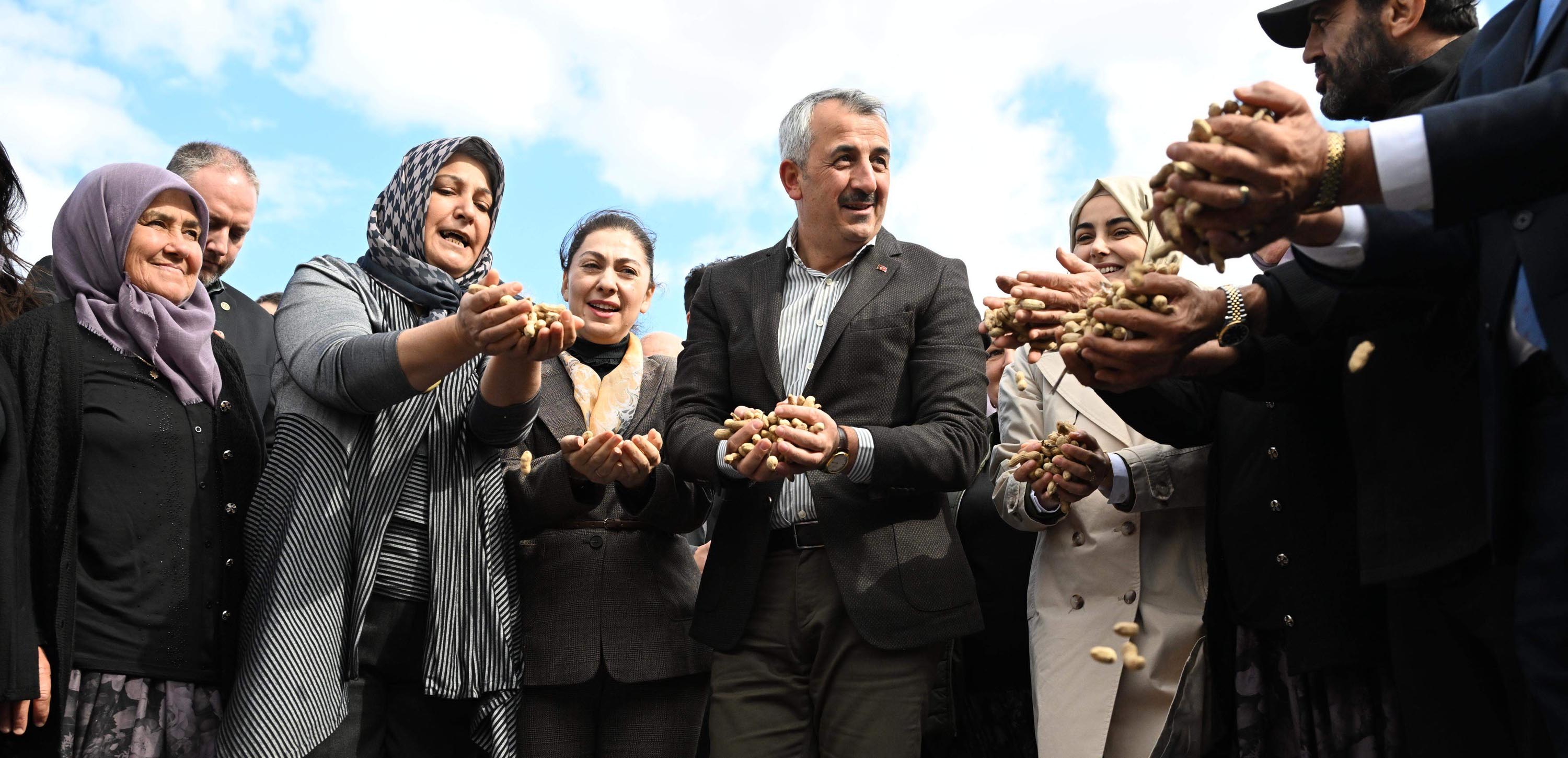 Edirne Meriç'te düzenlenen Alibeyköy Fıstık