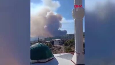 Bursa'nın Büyükorhan ilçesinde çıkan orman